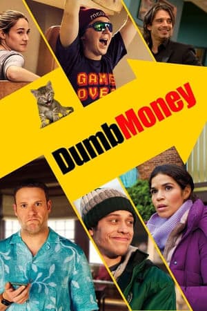copertina del programma Dumb Money