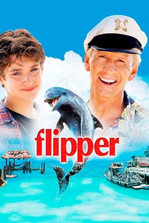 copertina del programma Flipper