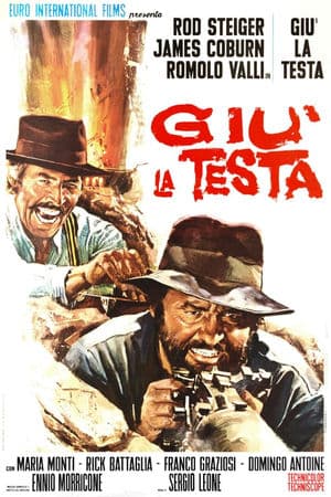 copertina del programma Giu' la testa