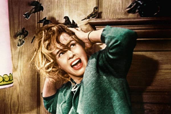 copertina Gli uccelli