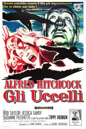 copertina del programma Gli uccelli