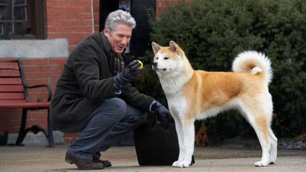 copertina del programma Hachiko - Il tuo migliore amico