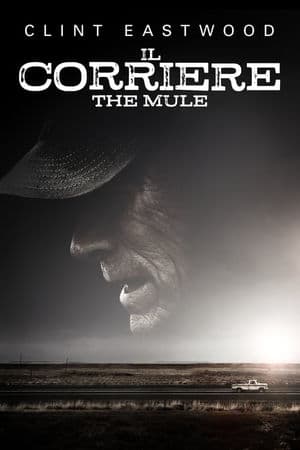 copertina del programma Il Corriere - The Mule