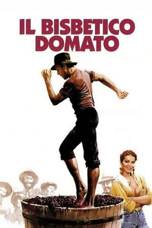 copertina del programma Il bisbetico domato