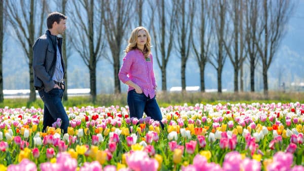 copertina del programma I tulipani dell'amore