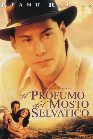 copertina del programma Il profumo del mosto selvatico