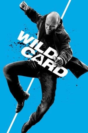 copertina del programma Joker - Wild Card