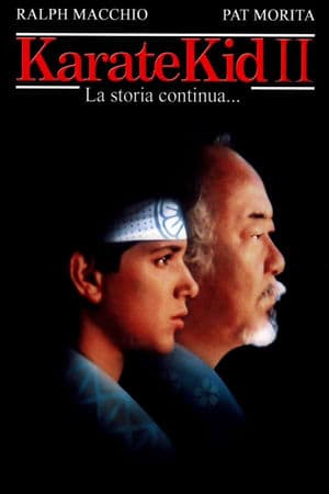copertina del programma Karate Kid II - La storia continua