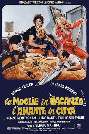 copertina del programma La moglie in vacanza... l'amante in citta'