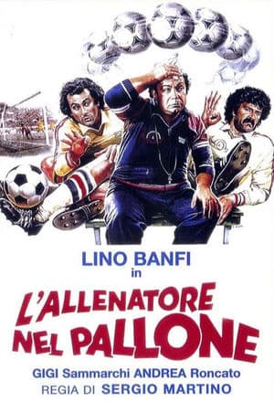 copertina del programma L'allenatore nel pallone