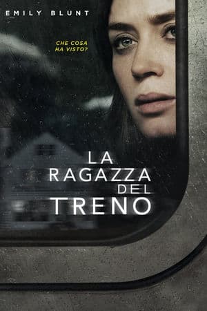copertina del programma La ragazza del treno