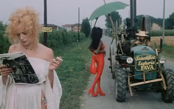 copertina Mazurka del barone, della santa e del fico fiorone