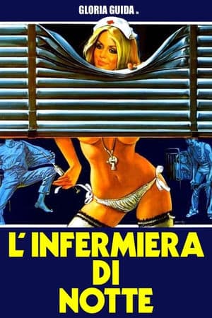 copertina del programma L'infermiera di notte