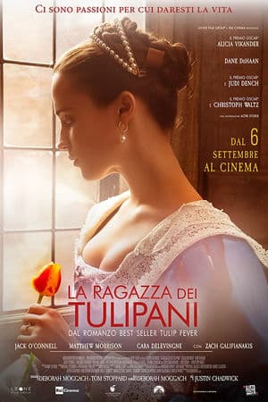 copertina del programma La Ragazza dei Tulipani