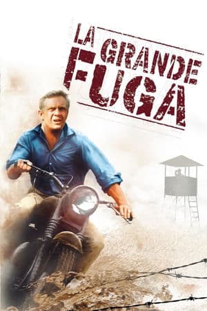 copertina del programma La grande fuga