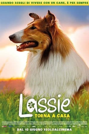 copertina del programma Lassie torna a casa