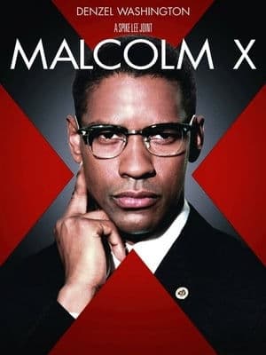 copertina del programma Malcolm X