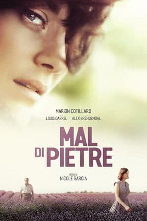 copertina del programma Mal di pietre