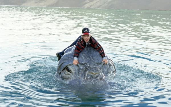 copertina Mee-Shee - Il gigante dell'acqua