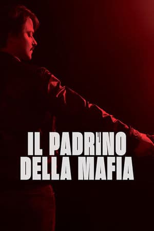 copertina del programma Il padrino della mafia