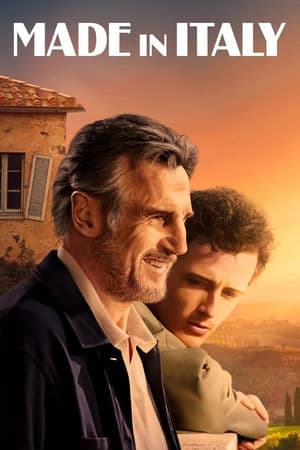 copertina del programma Made In Italy - Una Casa Per Ritrovarsi
