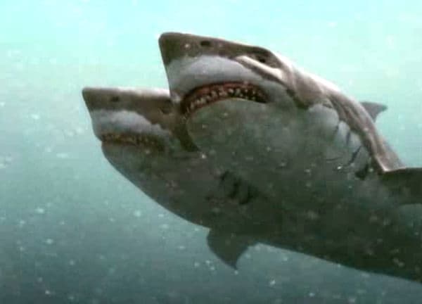 copertina 2-Headed Shark Attack