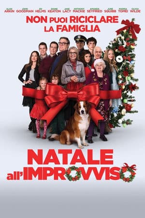 copertina del programma Natale all'improvviso