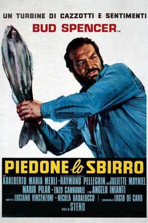 copertina del programma Piedone lo sbirro