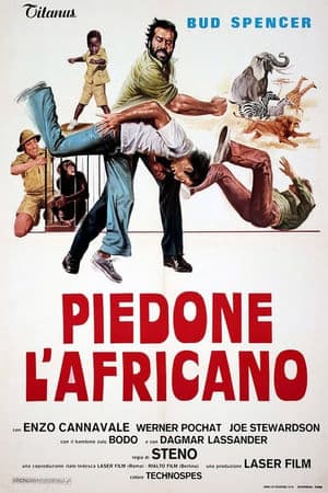 copertina del programma Piedone l'Africano