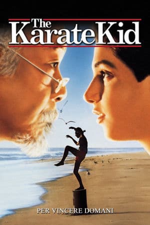 copertina del programma The Karate Kid - Per vincere domani