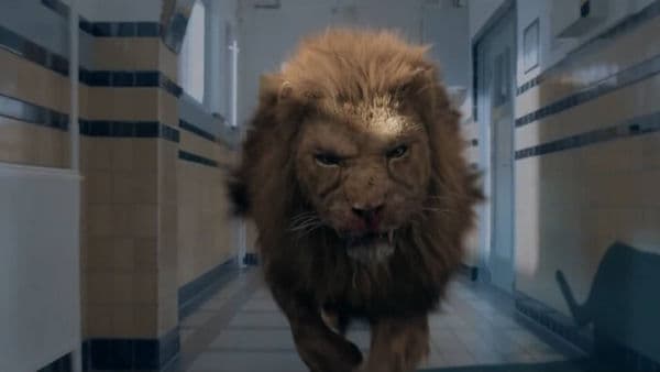 copertina Prey - La preda