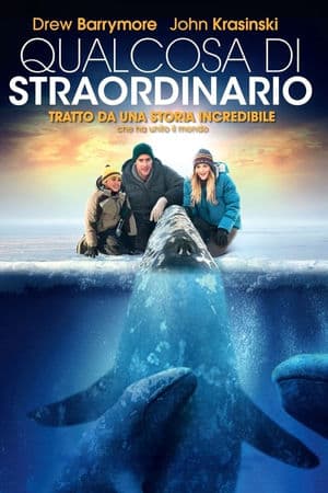 copertina del programma Qualcosa di straordinario