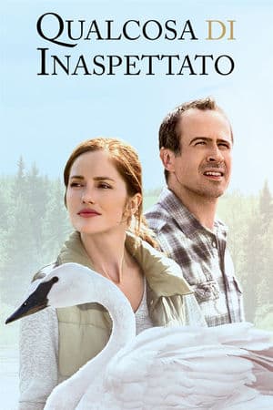copertina del programma Qualcosa di inaspettato
