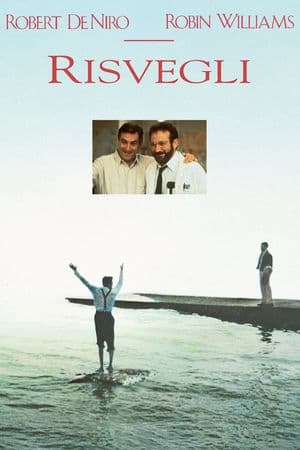 copertina del programma Risvegli