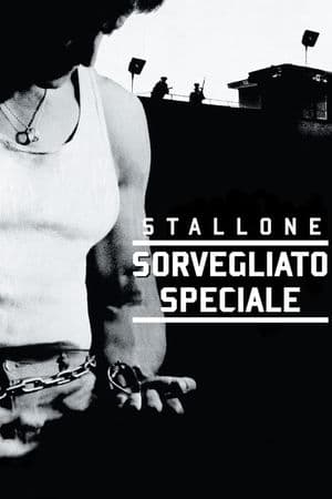 copertina del programma Sorvegliato speciale