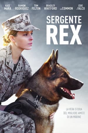copertina del programma Sergente Rex