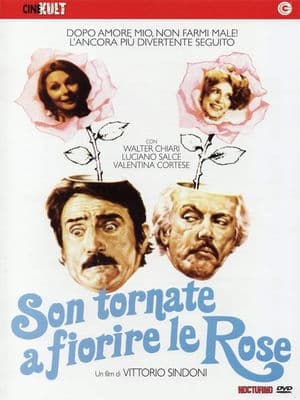 copertina del programma Son tornate a fiorire le rose