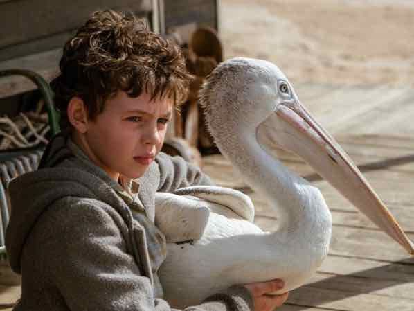copertina del programma Storm Boy - Il ragazzo che sapeva volare