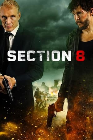 copertina del programma Sezione 8 (Film)