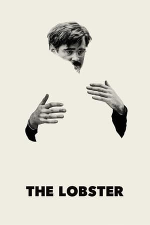 copertina del programma The Lobster