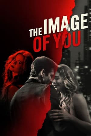 copertina del programma The Image of You