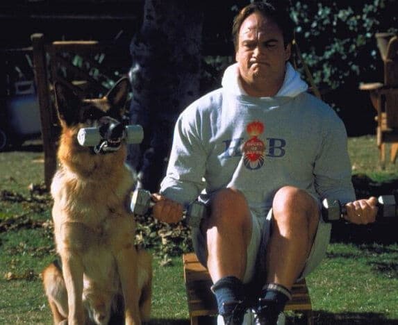 copertina del programma Poliziotto a quattro zampe