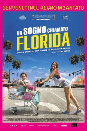 copertina del programma Un sogno chiamato Florida