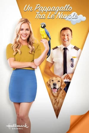 copertina del programma Un pappagallo tra le nuvole