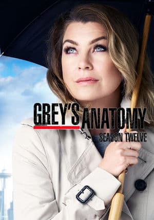 copertina del programma Grey'S Anatomy
