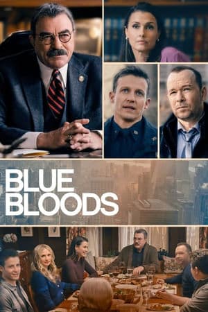 copertina del programma Blue Bloods