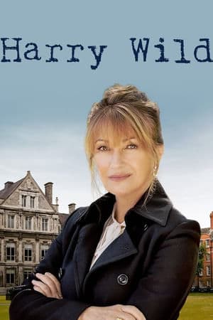 copertina del programma Harry Wild - La signora del delitto
