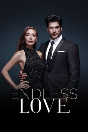 copertina del programma Endless Love