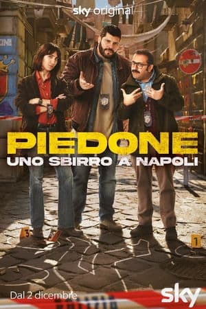 copertina del programma Piedone: Uno sbirro a Napoli