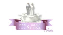copertina NON DITELO ALLA SPOSA